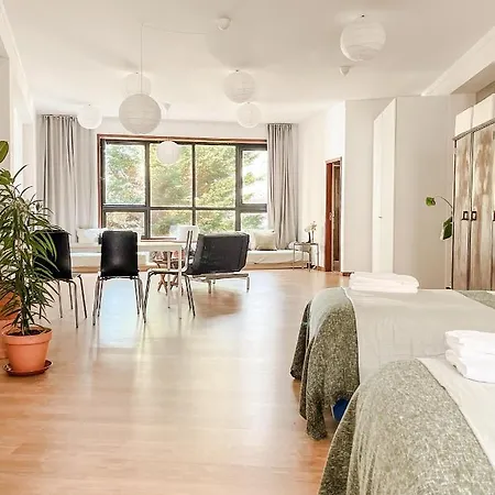 Apartment Loft With Free Parking